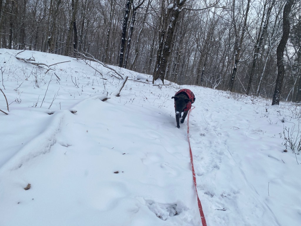 Just Not Feelin’&nbsp;It